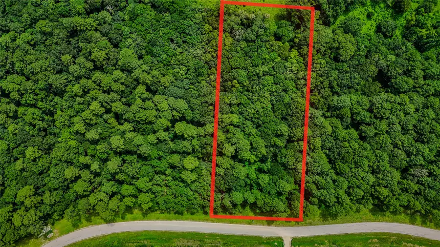 LOT 24 Sandpiper Drive, Huntsville, TX 77358 - Image #2