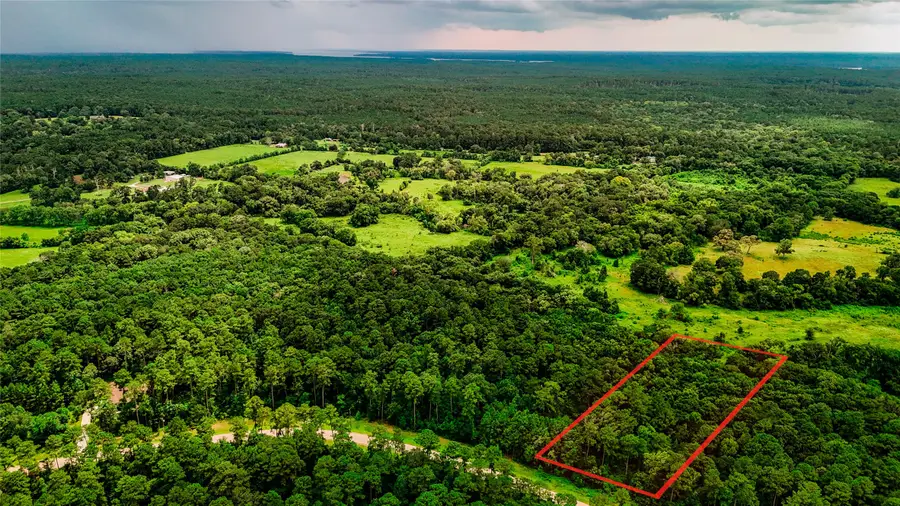 LOT 24 Sandpiper Drive, Huntsville, TX 77358 - Image #3