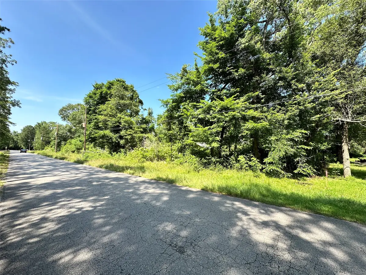 19381 Crystalwood Estates Drive, New Caney, TX 77357 - Image #1