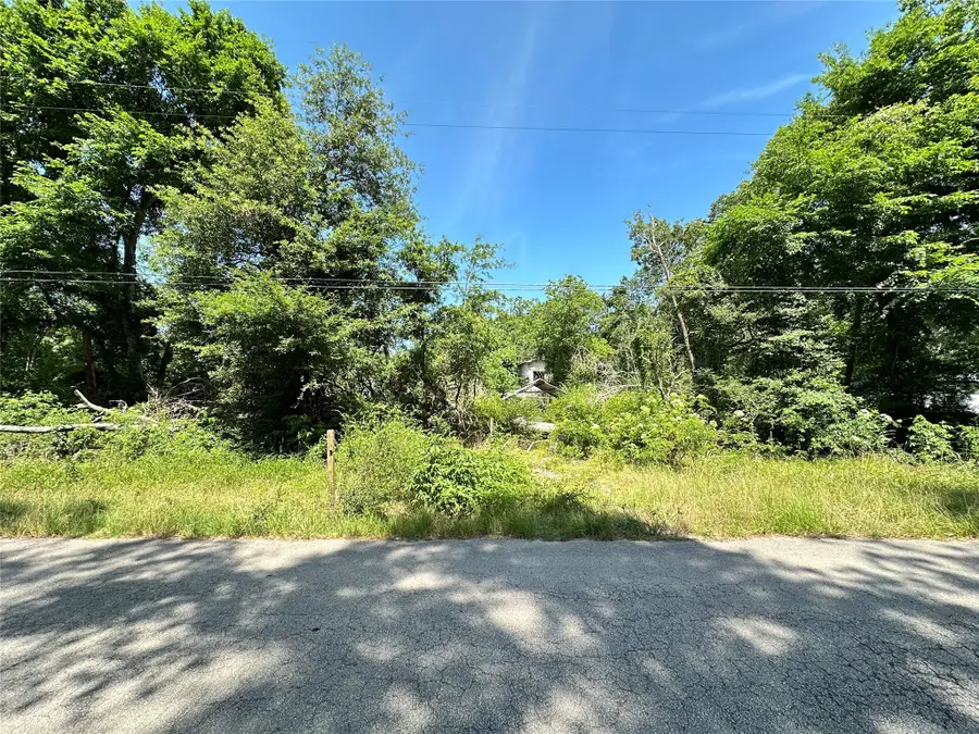 19381 Crystalwood Estates Drive, New Caney, TX 77357 - Image #2