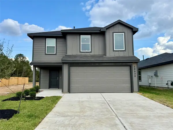 18530 Sunset Horizon Drive, Hockley, TX 77447