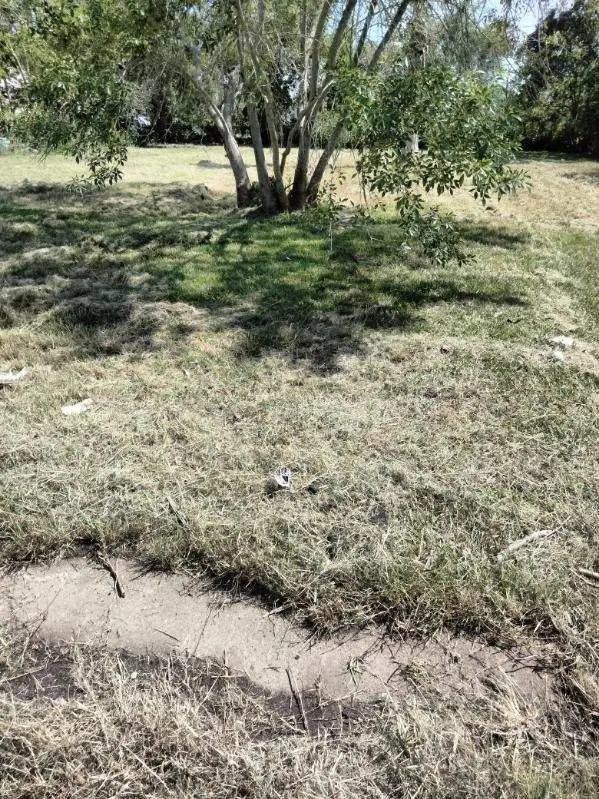 615 W 5th Street, Freeport, TX 77541 - Image #2