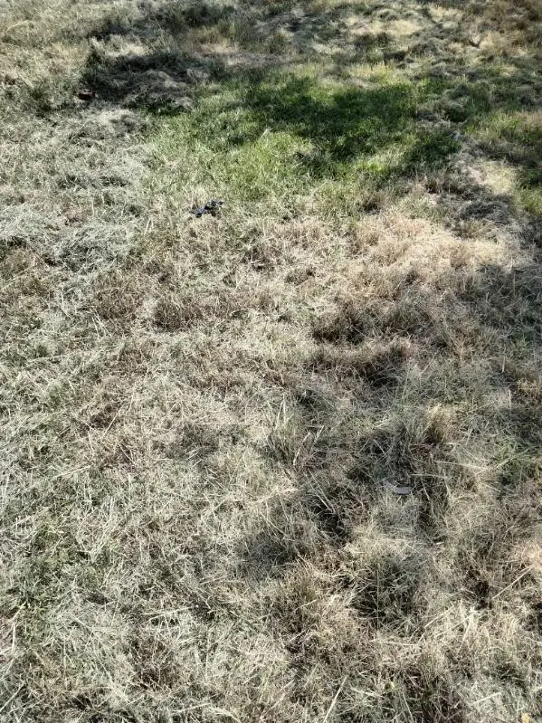 615 W 5th Street, Freeport, TX 77541 - Image #3