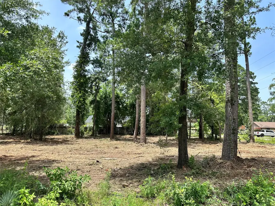 0 Tallow Drive, Conroe, TX 77385 - #2