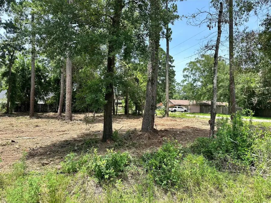 0 Tallow Drive, Conroe, TX 77385 - #3