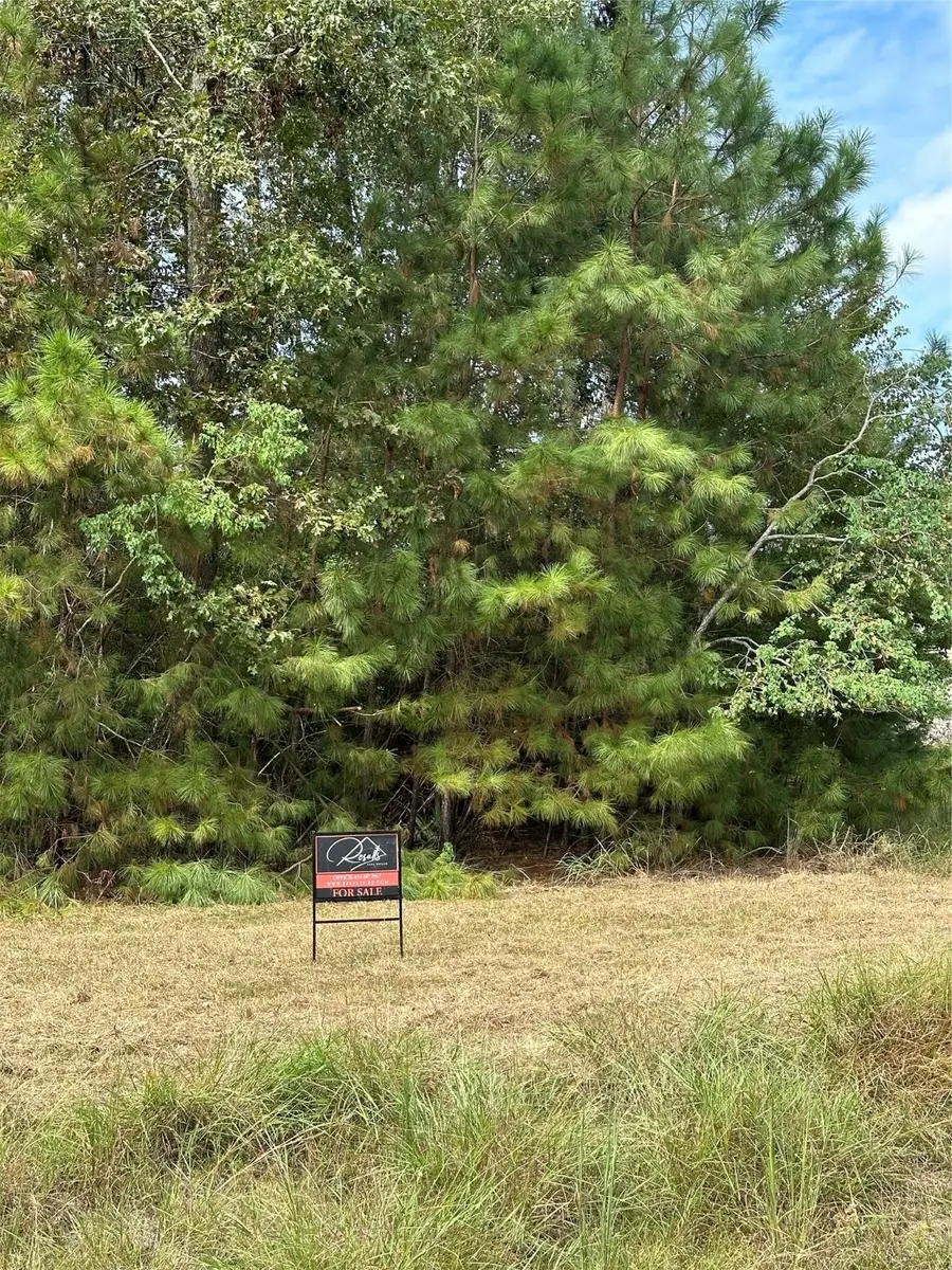 0 Mendecino Glen Lane, Huffman, TX 77336 - Image #2