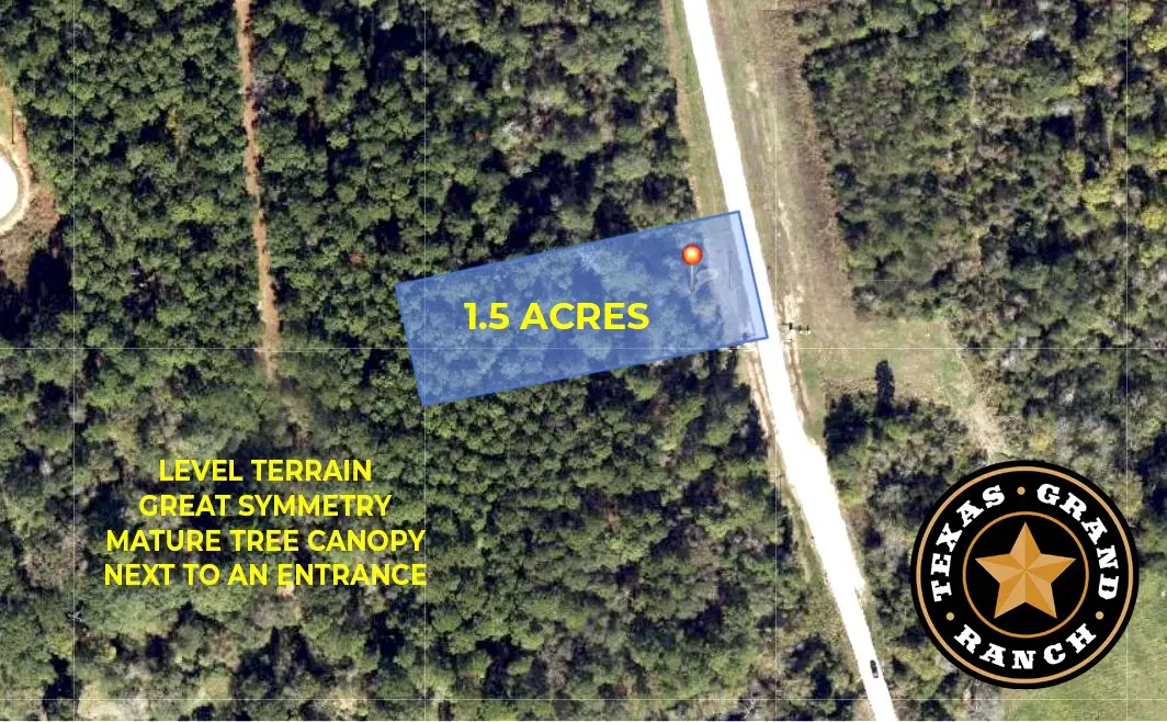 14-37-3 Dipping Vat Road, New Waverly, TX 77358 - #1