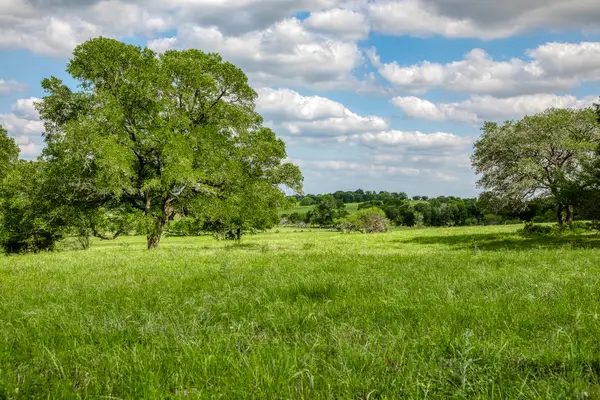 3109 Highway 105, Brenham, TX 77833