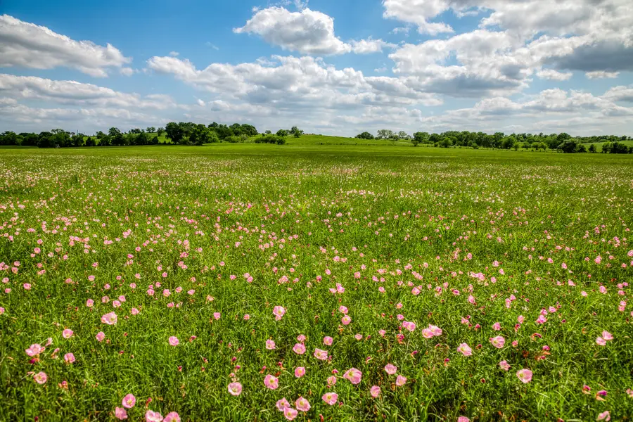 3109 Highway 105, Brenham, TX 77833 - Image #3