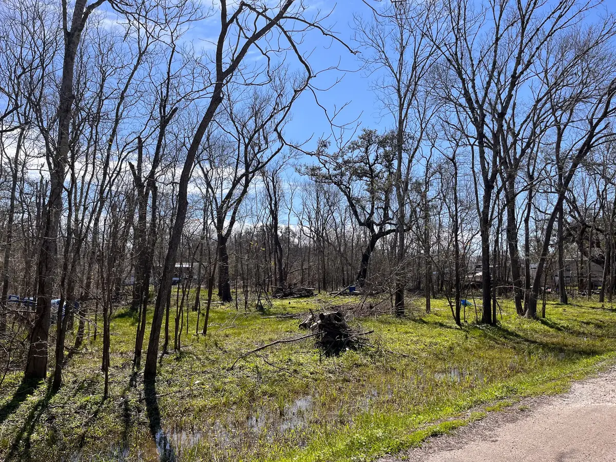 N/A Penguin Ln Lane, Holiday Lakes, TX 77515 - #1