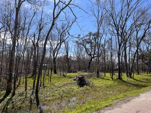 N/A Penguin Ln Lane, Holiday Lakes, TX 77515