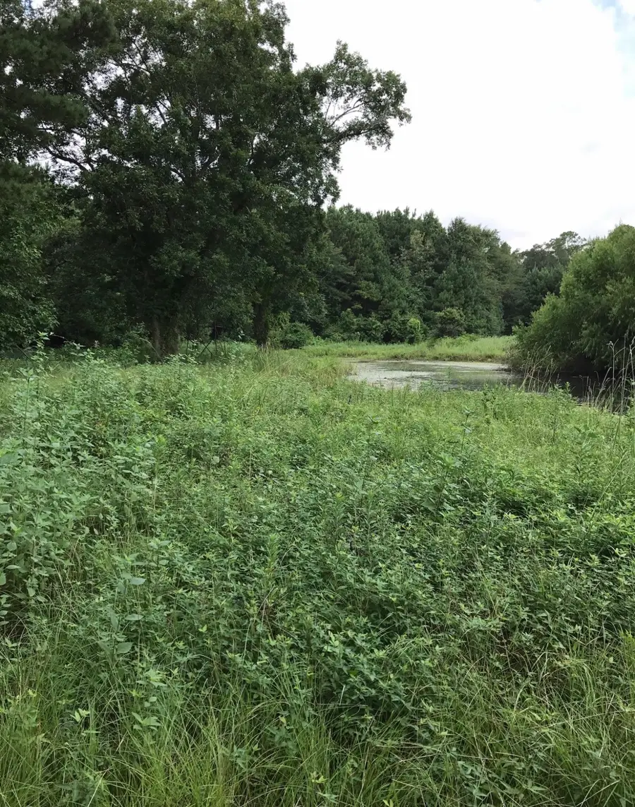 2097 Fm E, Chester, TX 75936 - #2
