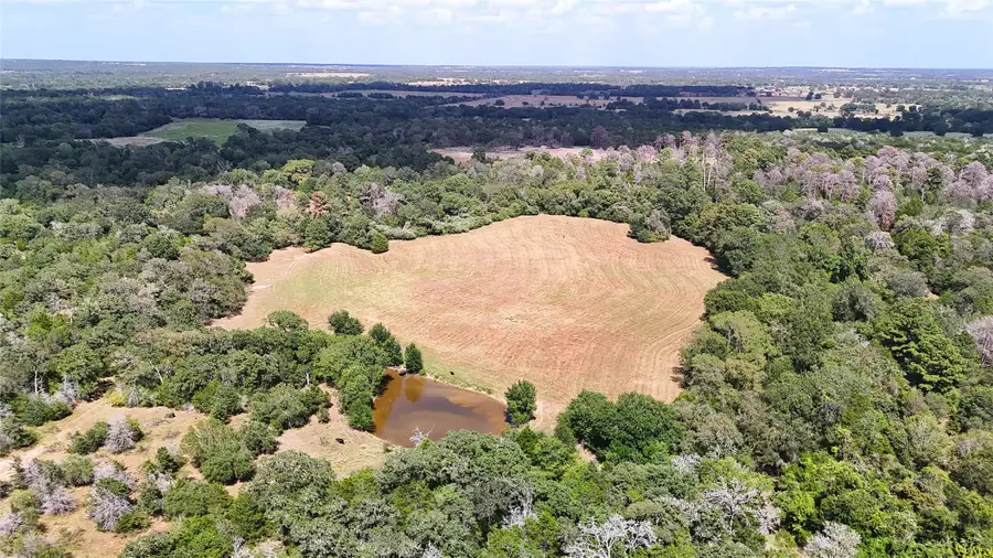 TBD (Tract 8 and 13) Saint Delight Road, Paige, TX 78659 - #2