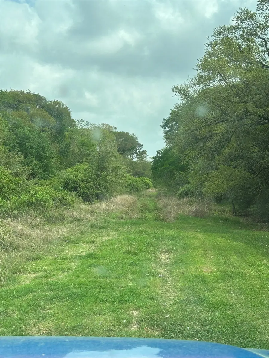 0 Holly Lane, Clemville, TX 77414 - Image #3