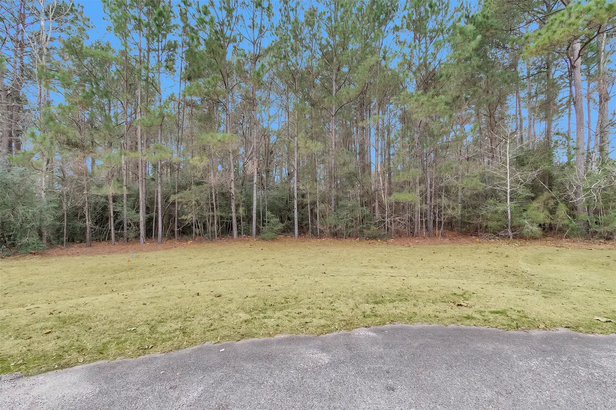 11464 Queensboro Court, Montgomery, TX 77316 - #1