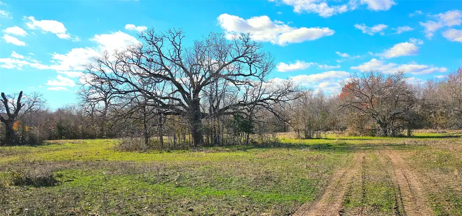 tbd Davis Road, Huntsville, TX 77320 - Image #2