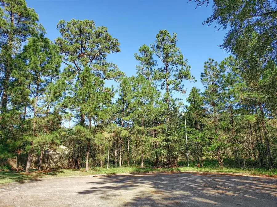 Lot 13 Caperidge Court, Huffman, TX 77336 - Image #3