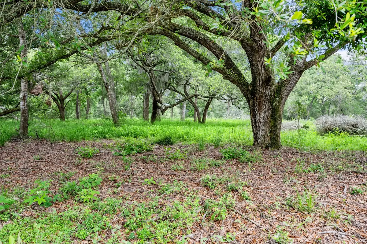 1168 Pargac Lane, Columbus, TX 78934 - Image #1