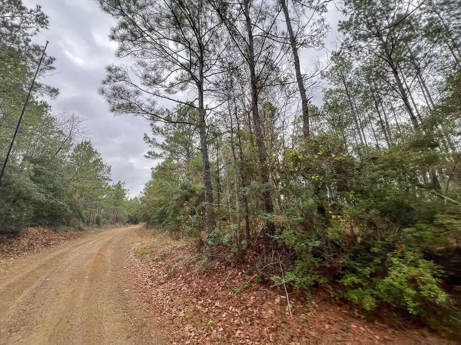 T-1 Fm 1012, Newton, TX 75966 - Image #2