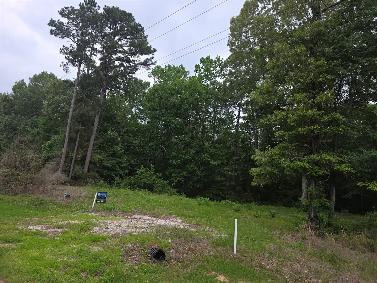 TBD Hidden Oak Drive, Point Blank, TX 77364 - #1