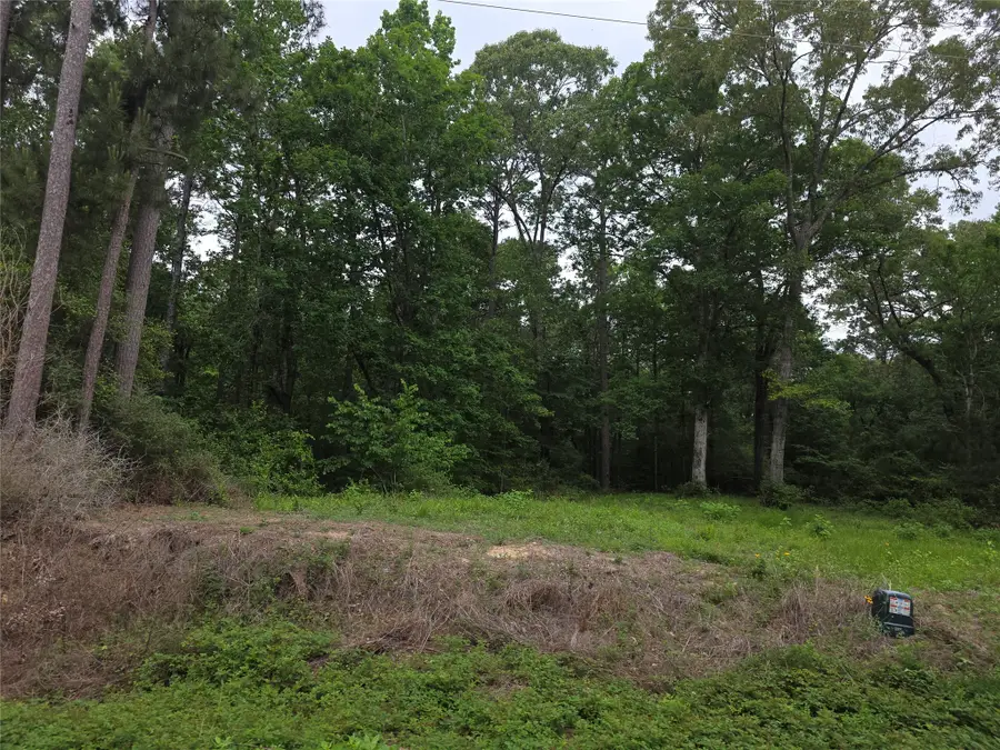 TBD Hidden Oak Drive, Point Blank, TX 77364 - #3