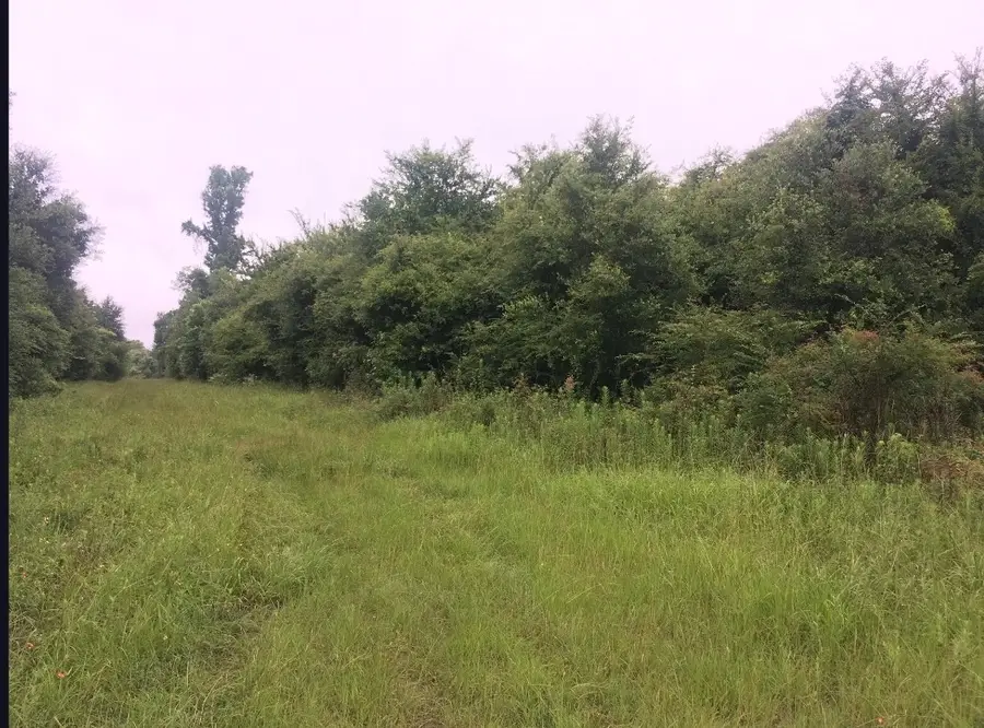 10211 Essex, Conroe, TX 77302 - Image #2