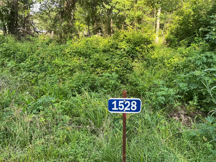 1528 Scroggins Lane, Waller, TX 77484 - #3