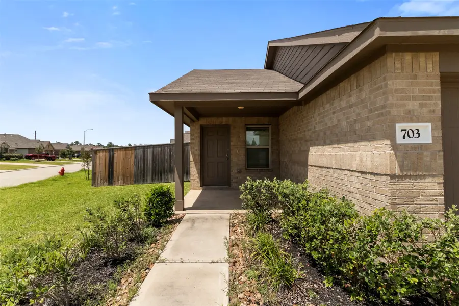 703 Larkspur Shadow Drive, Magnolia, TX 77354 - #2