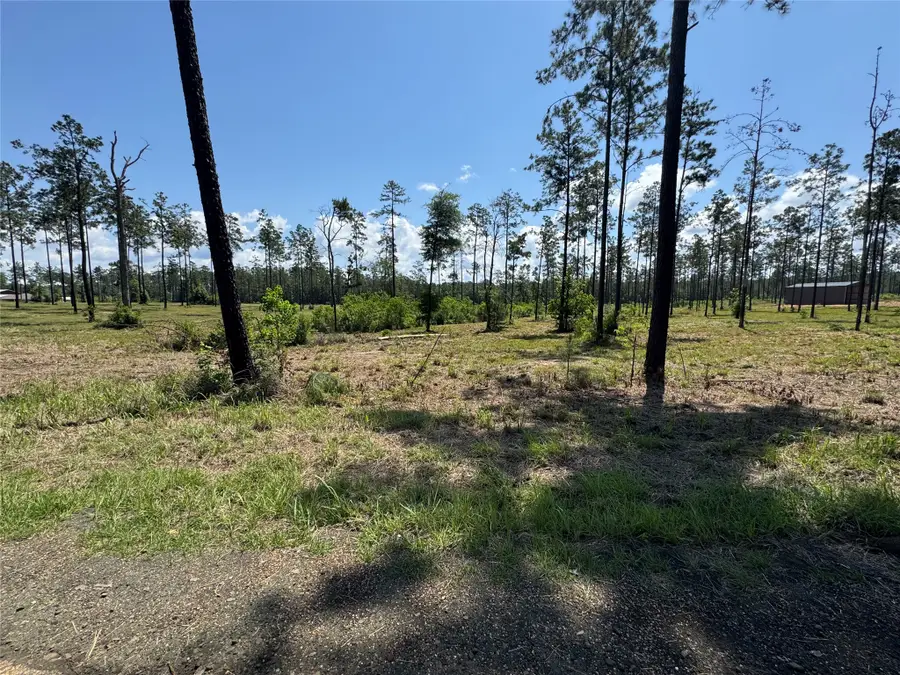 081 Private Road 6026, Brookeland, TX 75931 - #3