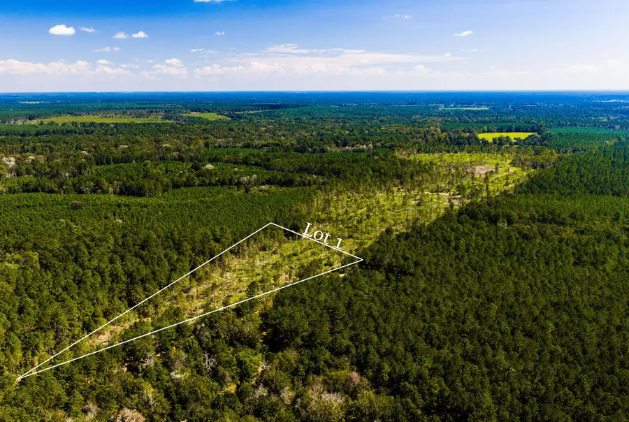 001 Buddy Lloyd Rd, Livingston, TX 77351 - #2