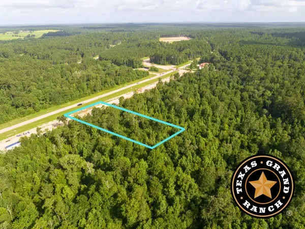 1 Dripping Vat Road, Huntsville, TX 77340