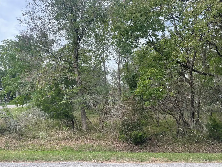TBD N Forest Cove Loop, Coldspring, TX 77331 - Image #2