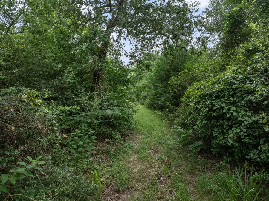 TBD West Caney Road, Normangee, TX 77871 - Image #2