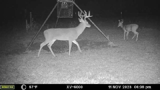 TBD West Caney Road, Normangee, TX 77871 - Image #3