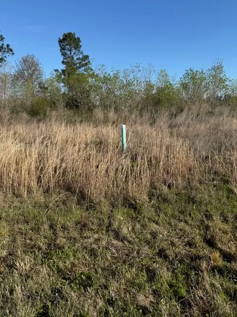 661 Road 5816, Cleveland, TX 77327 - #3