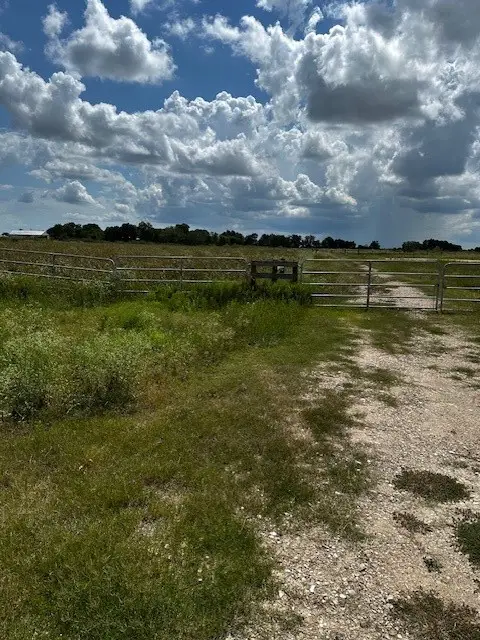 tbd Fm 1994 Road, Guy, TX 77444 - Image #2