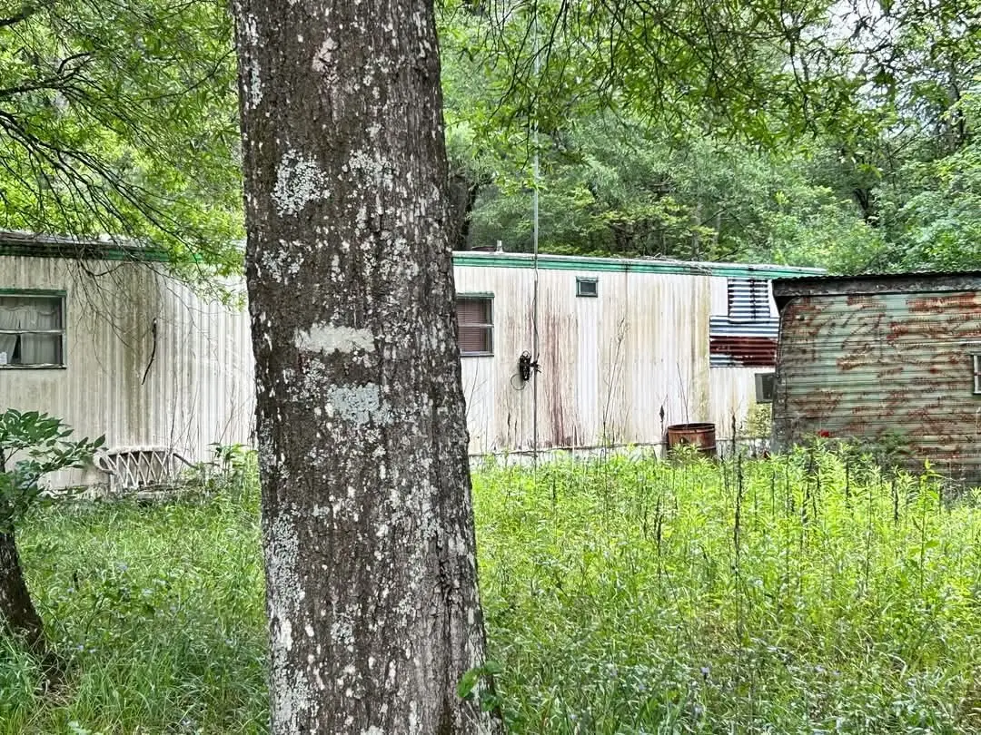 0 San Juan, Goodrich, TX 77335 - Image #1