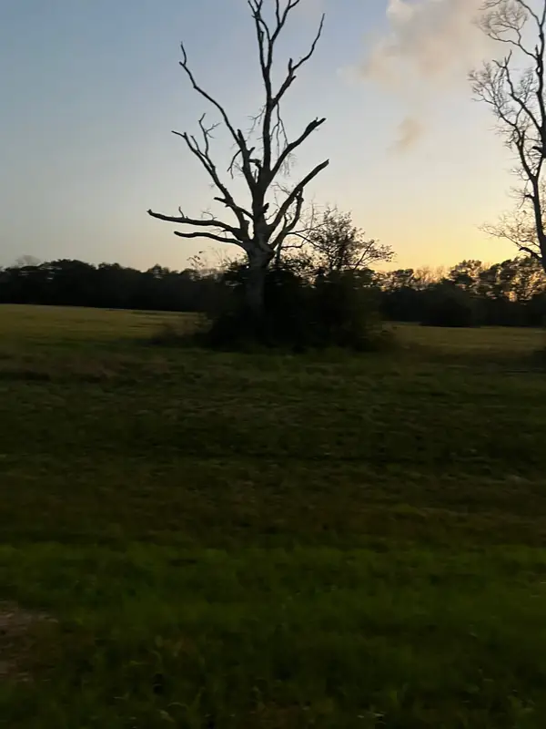 1007 Chuckwagon Trail, Angleton, TX 77515