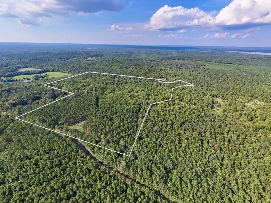 000 County Road 4070, Woodville, TX 75979 - #3