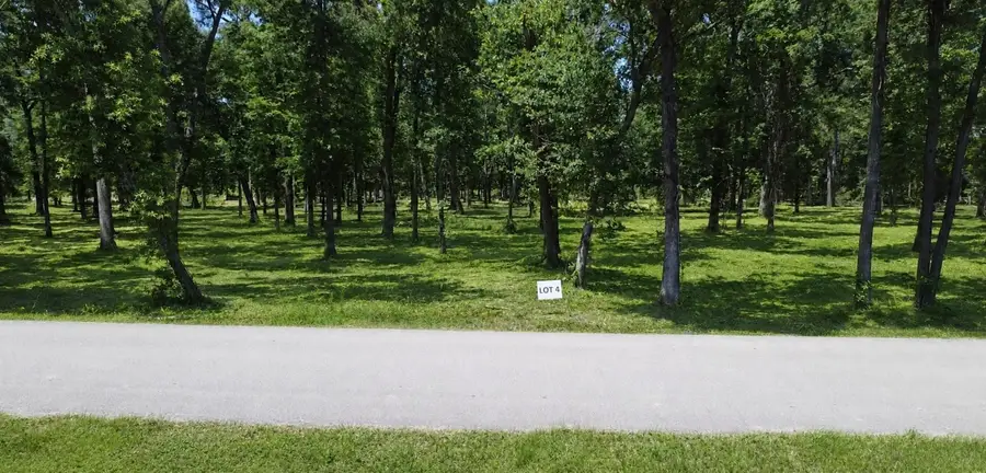 Lot 4 Crowley Road, Conroe, TX 77301 - #3