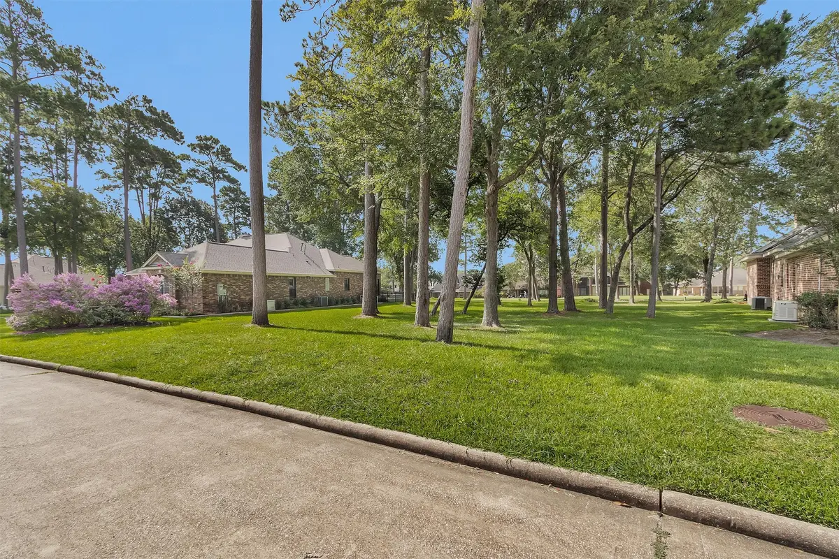 11 Grey Moss Lane, Montgomery, TX 77356 - #1