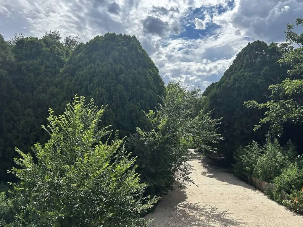 1207 N Tyler Street, Amarillo, TX 79107 - Image #1