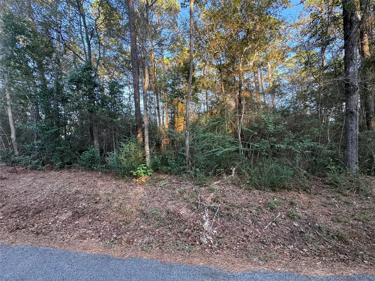 TBD Eastwood Avenue, Coldspring, TX 77331 - #1