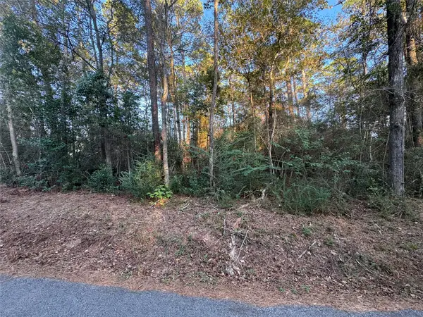 TBD Eastwood Avenue, Coldspring, TX 77331