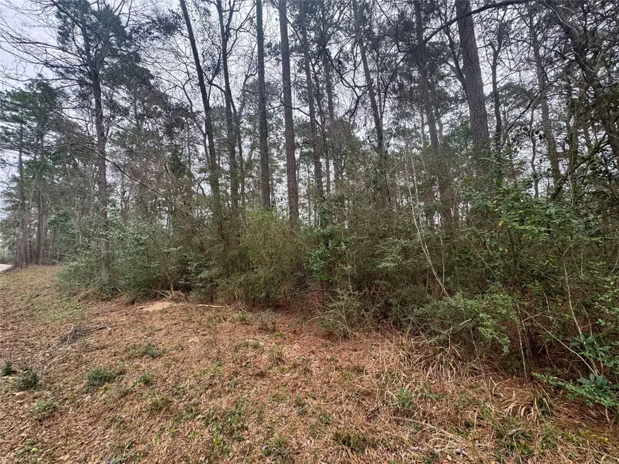 TBD Eastwood Avenue, Coldspring, TX 77331 - #2