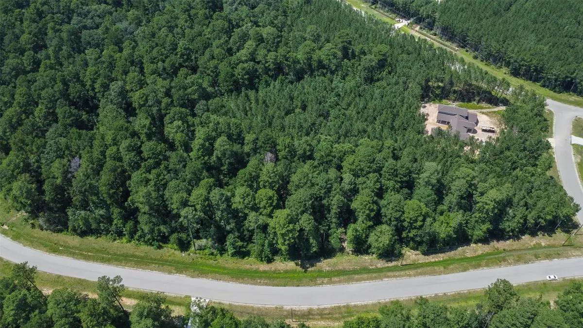 14-36-19 Sandpiper Drive, New Waverly, TX 77358 - Image #1