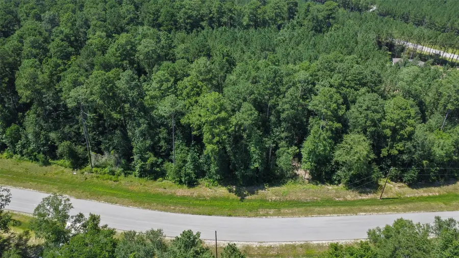 14-36-19 Sandpiper Drive, New Waverly, TX 77358 - Image #3