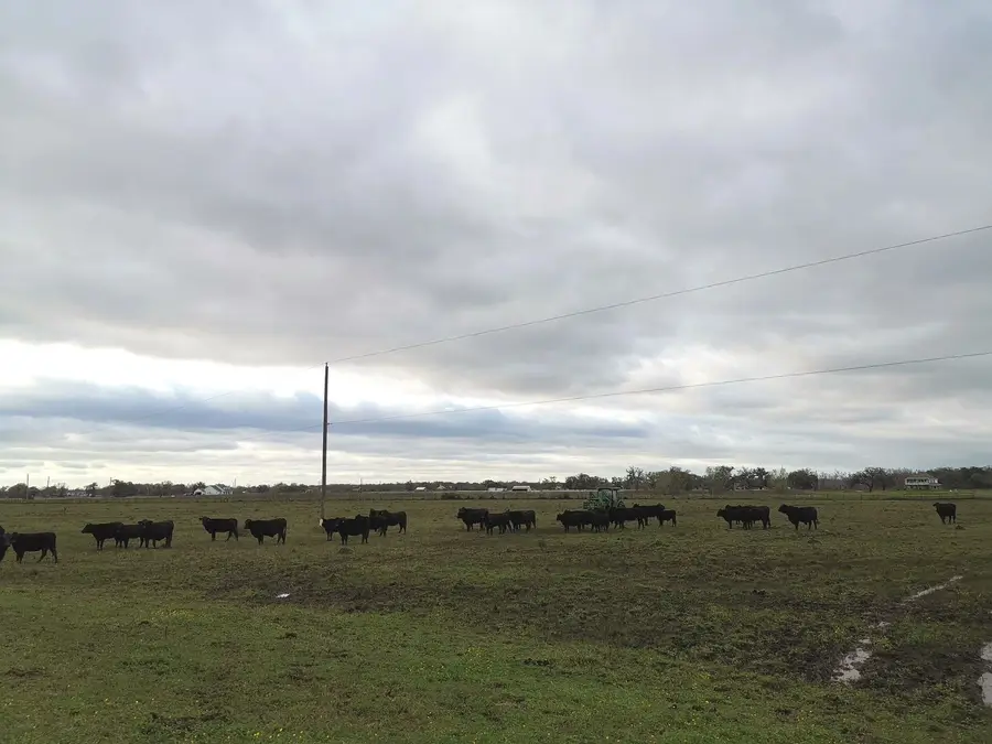 16411 Majestic Oaks Drive, Rosharon, TX 77583 - #3