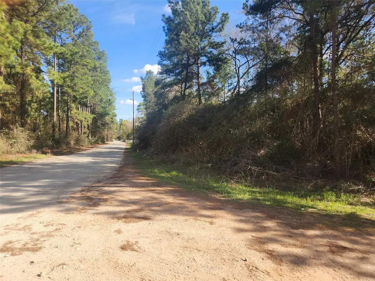 Lot 3 Live Oak Drive, Plantersville, TX 77363 - Image #1