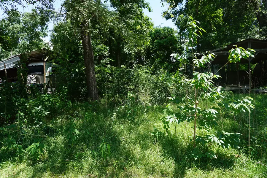 11397 Underwood Street, Willis, TX 77318 - #2